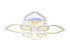 Потолочный светодиодный светильник Ambrella Light Acrylica FA8844