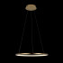 Подвесной светодиодный светильник Loft IT Ring 10014M