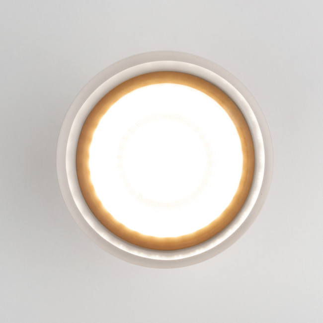 Уличный потолочный светильник Elektrostandard Light LED 4690389177958 Уличный потолочный светильник Elektrostandard Light LED 4690389177958