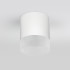 Уличный потолочный светильник Elektrostandard Light LED 4690389177958 Уличный потолочный светильник Elektrostandard Light LED 4690389177958