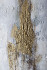 Панно Tomas Stern 89504 Панно Tomas Stern 89504
