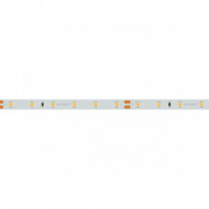 Светодиодная лента Arlight 7,2W/m 60LED/m 2835SMD теплый белый 5M 020013(2)