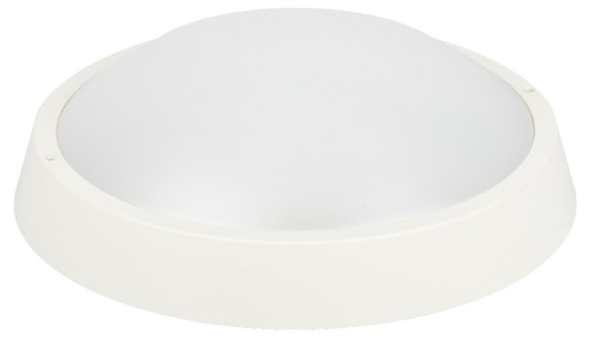 Настенно-потолочный светильник Эра SPB-203-0-65К-024 Б0062684