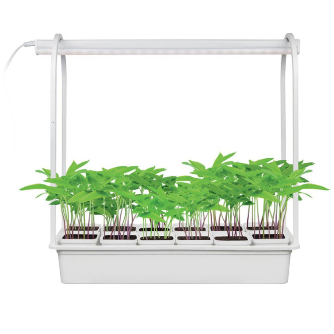 Светодиодный светильник для растений Uniel Minigarden (UL-00007471) ULT-P34-10W/SPBR IP20 White 12 Светодиодный светильник для растений Uniel Minigarden (UL-00007471) ULT-P34-10W/SPBR IP20 White 12