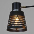 Потолочный светильник Reluce 06074-3.3-02 BK+FG Потолочный светильник Reluce 06074-3.3-02 BK+FG