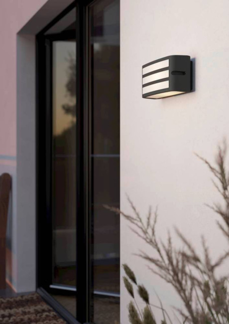 Уличный настенный светильник Eglo Camarda 900811 Уличный настенный светильник Eglo Camarda 900811