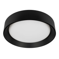 Потолочный светильник Loft IT Coin 10202 BB