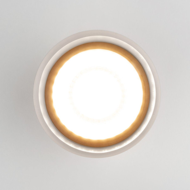 Уличный потолочный светильник Elektrostandard Light LED 4690389177941 Уличный потолочный светильник Elektrostandard Light LED 4690389177941