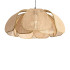 Подвесная люстра Freya Cocoon FR5529PL-01B Подвесная люстра Freya Cocoon FR5529PL-01B