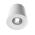 Накладной светильник Lightera Shamrock LE201CL-1WB