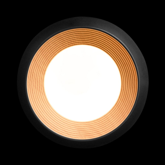 Потолочный светильник Loft IT Folk 10255/350 Black Потолочный светильник Loft IT Folk 10255/350 Black