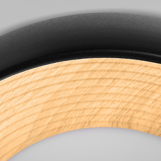 Потолочный светильник Loft IT Folk 10255/350 Black Потолочный светильник Loft IT Folk 10255/350 Black