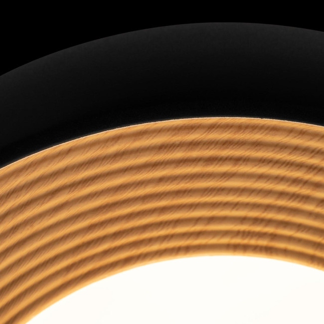 Потолочный светильник Loft IT Folk 10255/350 Black Потолочный светильник Loft IT Folk 10255/350 Black