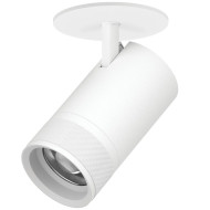 Встраиваемый светильник 20-55G с адаптером Lightstar Canno Pro C4406RS