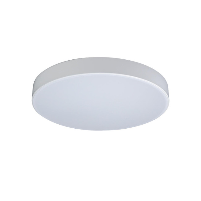 Потолочный светильник Loft IT AXEL 10002/24 White Потолочный светильник Loft IT AXEL 10002/24 White