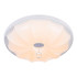 Потолочный светодиодный светильник Escada 10231/S LED Потолочный светодиодный светильник Escada 10231/S LED