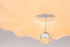 Потолочный светодиодный светильник Escada 10231/S LED Потолочный светодиодный светильник Escada 10231/S LED
