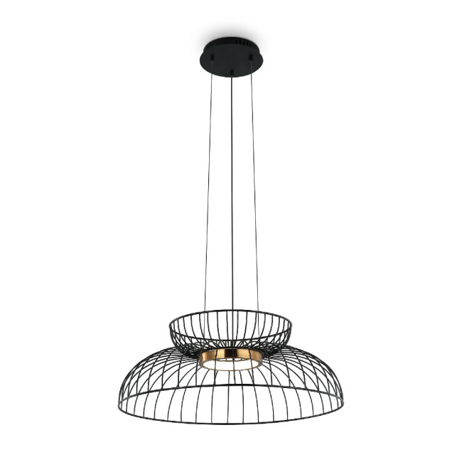 Подвесной светильник Freya Citrus FR5398PL-L6B