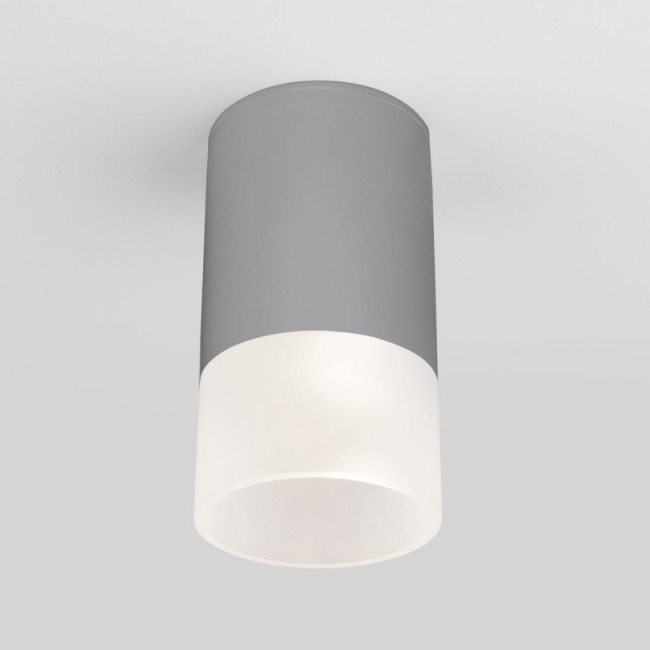 Уличный потолочный светильник Elektrostandard Light LED 4690389177934 Уличный потолочный светильник Elektrostandard Light LED 4690389177934