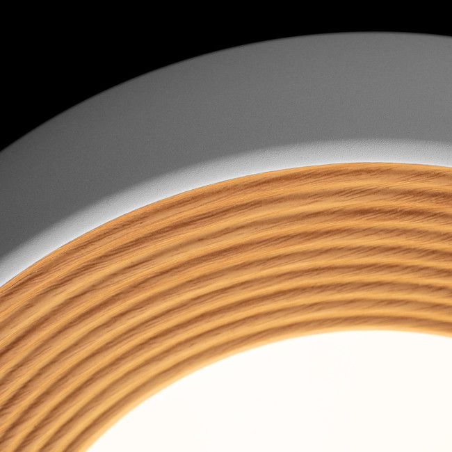 Потолочный светильник Loft IT Folk 10255/350 White Потолочный светильник Loft IT Folk 10255/350 White