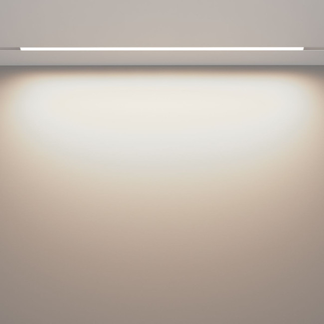 Трековый магнитный светильник Maytoni Basis TR030-2-30W4K-W