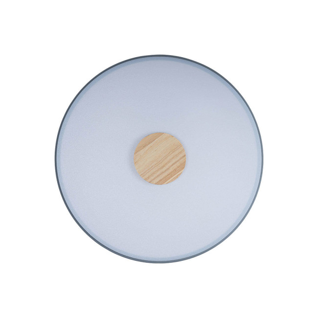 Потолочный светильник Loft IT AXEL 10003/24 Grey Потолочный светильник Loft IT AXEL 10003/24 Grey