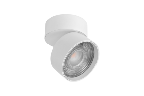 Потолочный cветильник Lumker Rink R-SSF-WH-NW 014417 Потолочный cветильник Lumker Rink R-SSF-WH-NW 014417