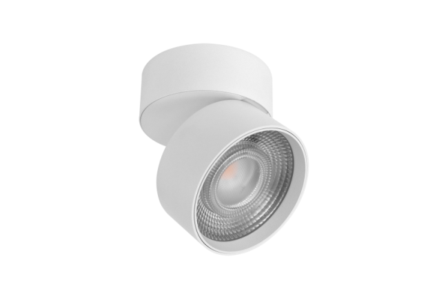 Потолочный cветильник Lumker Rink R-SSF-WH-NW 014417 Потолочный cветильник Lumker Rink R-SSF-WH-NW 014417