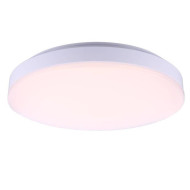 Настенно-потолочный светильник Feron AL3023 41804