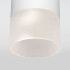 Уличный потолочный светильник Elektrostandard Light LED 4690389177927 Уличный потолочный светильник Elektrostandard Light LED 4690389177927