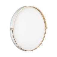 Настенно-потолочный светильник Sonex Olidi white 7646/DL