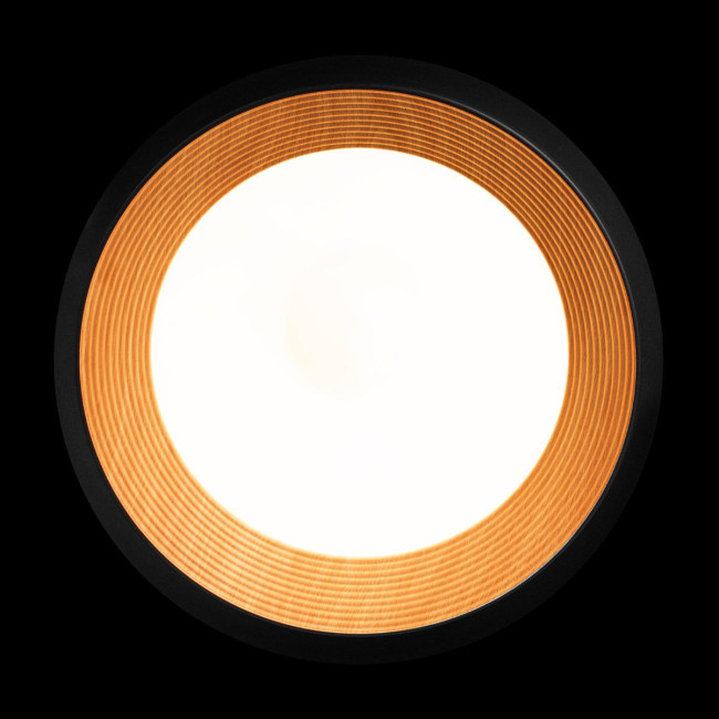 Потолочный светильник Loft IT Folk 10255/500 Black Потолочный светильник Loft IT Folk 10255/500 Black