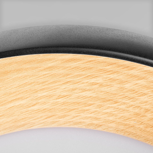 Потолочный светильник Loft IT Folk 10255/500 Black Потолочный светильник Loft IT Folk 10255/500 Black