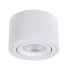 Накладной светильник Arte Lamp Unito A2260PL-1WH Накладной светильник Arte Lamp Unito A2260PL-1WH