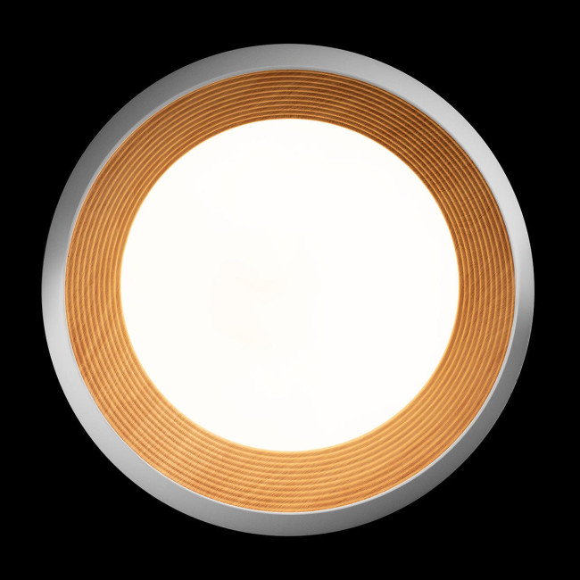 Потолочный светильник Loft IT Folk 10255/500 White Потолочный светильник Loft IT Folk 10255/500 White