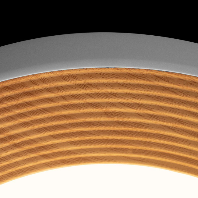 Потолочный светильник Loft IT Folk 10255/500 White Потолочный светильник Loft IT Folk 10255/500 White