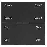 Смарт выключатель проводной iLedex Vision INN SP 48V-4-BK Смарт выключатель проводной iLedex Vision INN SP 48V-4-BK