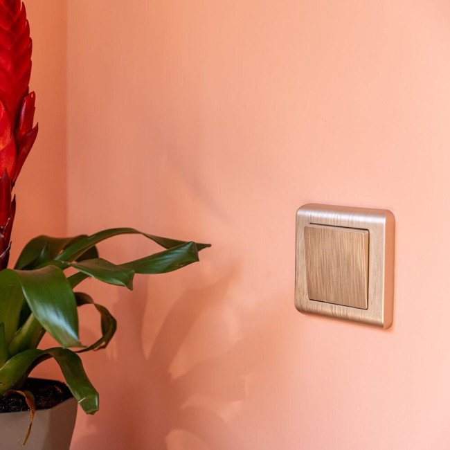 Рамка на 1 пост Werkel Stream шампань W0012111 4690389162176 a051284 Рамка на 1 пост Werkel Stream шампань W0012111 4690389162176 a051284