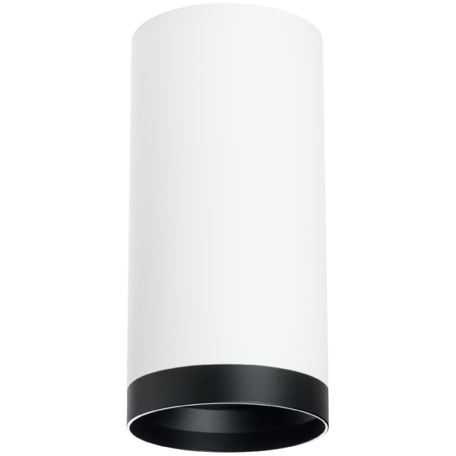 Накладной светильник Lightstar Rullo R64863487 (216486+203487)