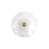 Настенный светильник Loft IT Bloom 10352W/A AB Настенный светильник Loft IT Bloom 10352W/A AB