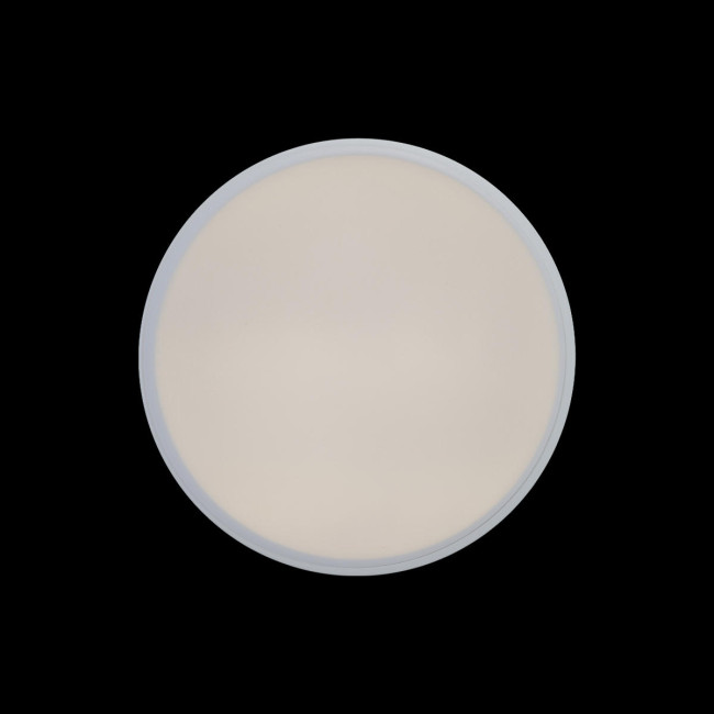 Потолочный светильник Loft IT AXEL 10002/12 White