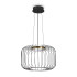 Подвесной светильник Freya Citrus FR5398PL-L8B Подвесной светильник Freya Citrus FR5398PL-L8B