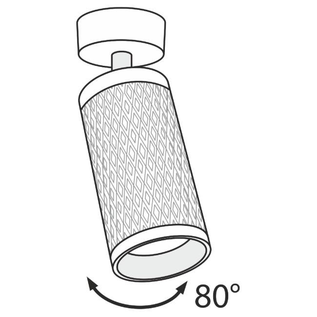 Потолочный светильник Maytoni Alfa C034CL-01B