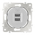 Розетка USB 2.1А+1А Arte Milano 202.46-1.silver