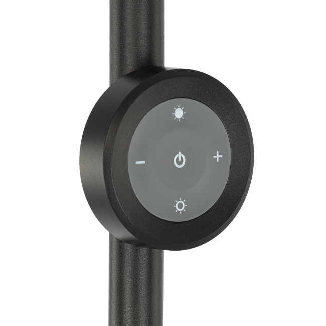 Торшер Citilux Loong CL810031