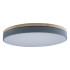 Потолочный светильник Loft IT AXEL 10001/36 Grey Потолочный светильник Loft IT AXEL 10001/36 Grey