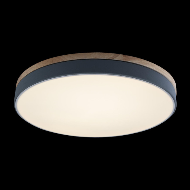 Потолочный светильник Loft IT AXEL 10001/36 Grey Потолочный светильник Loft IT AXEL 10001/36 Grey