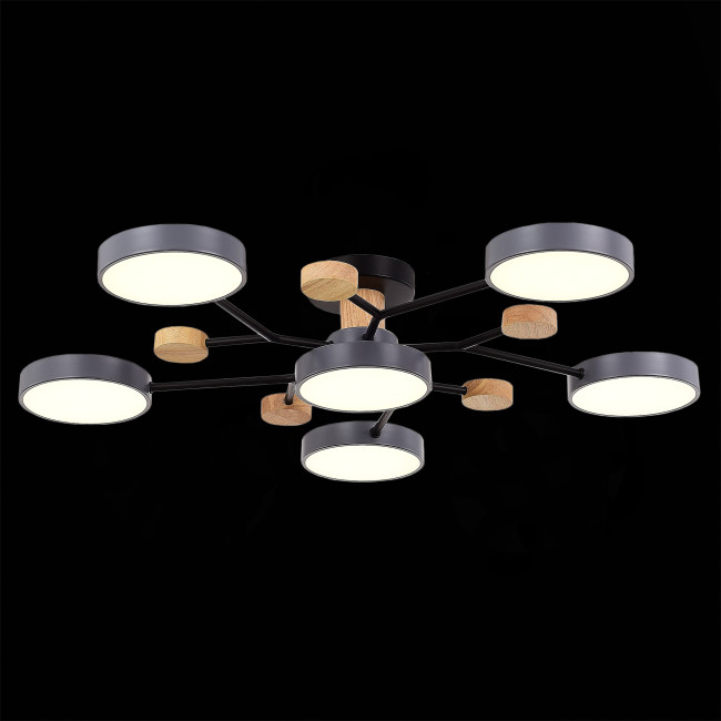 Люстра на штанге Evoluce Faema SLE6006-702-06