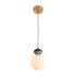 Подвесной светильник Freya Cave FR5631PL-01BS1