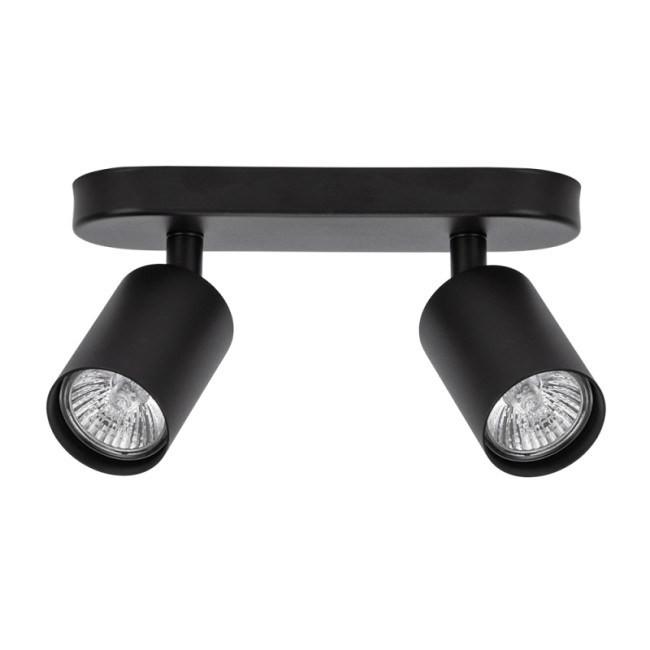 Спот Arte Lamp Aquarius A3226PL-2BK Спот Arte Lamp Aquarius A3226PL-2BK